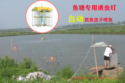 鱼塘诱虫灯专用秋葵视频成人APPIOS最新