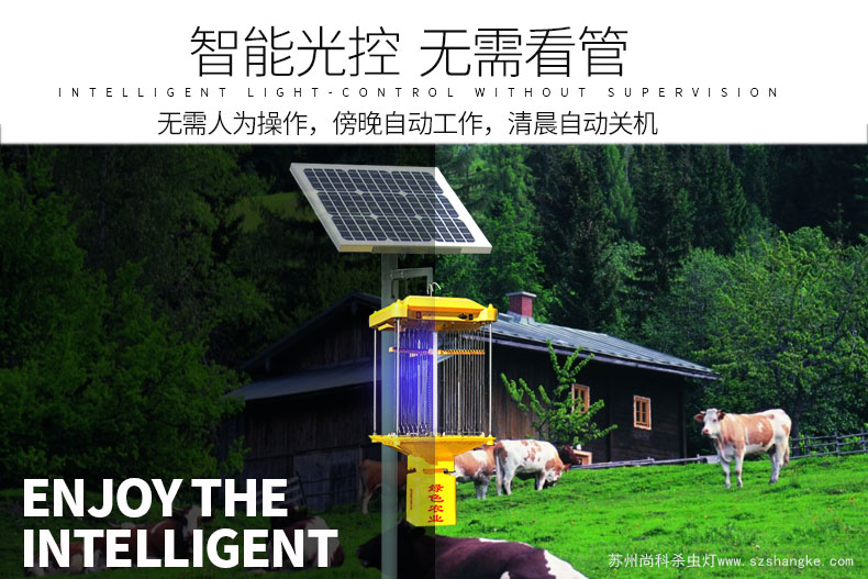 秋葵视频在线观看晚上是自动诱虫杀虫吗