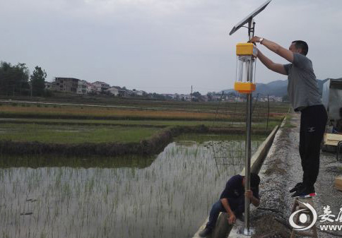 秋葵视频在线观看助力湖南建设生态优质米示范基地