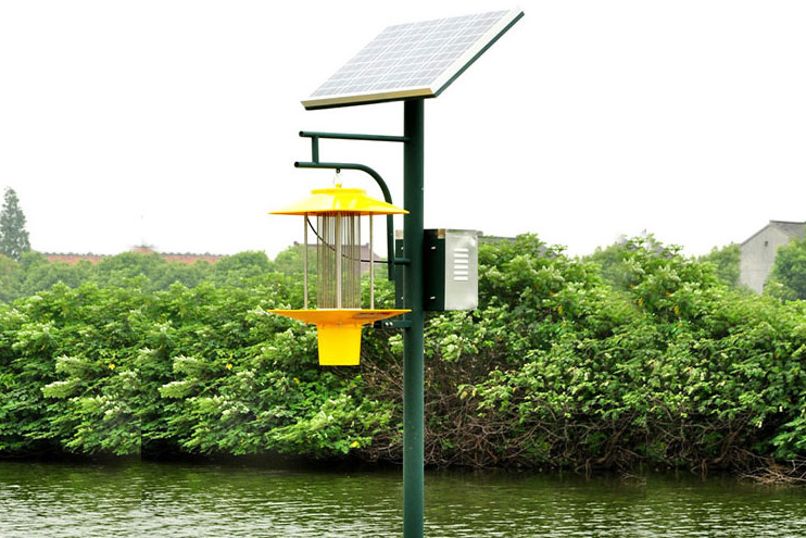 秋葵视频在线观看入驻安远县石湾苗圃案例图片