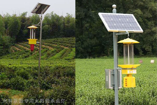 遂川茶园秋葵视频在线观看图片案例
