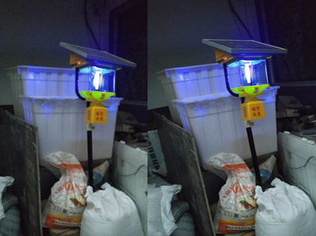 秋葵视频在线观看晚上灯管不亮的原因