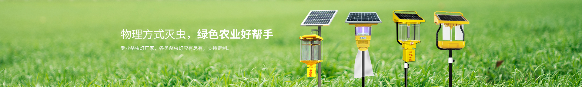 秋葵APP官方网站地址进入秋葵视频在线观看