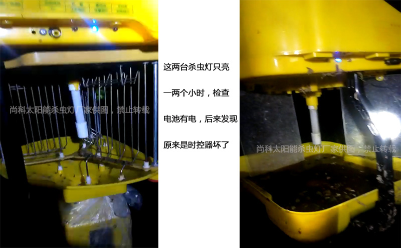 秋葵视频在线观看晚上只亮一两个小时怎么回事