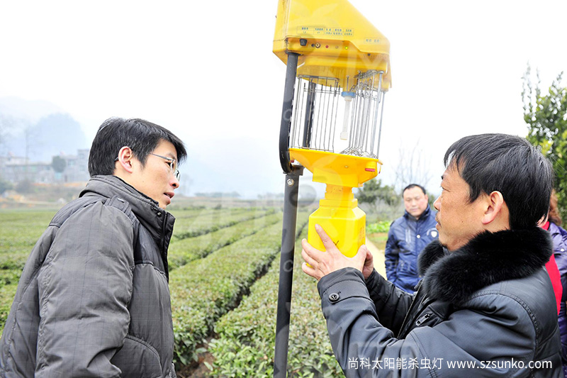 秋葵视频在线观看的价格是多少及效果如何
