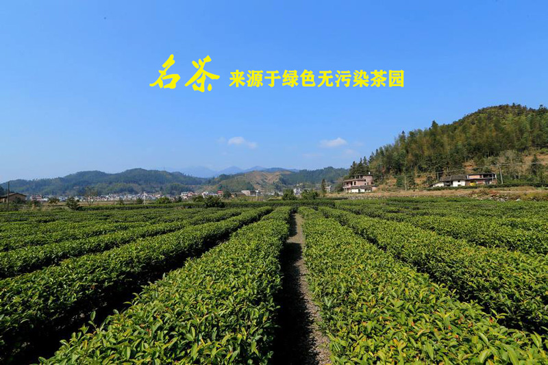 茶园用秋葵视频在线观看可以达到哪些效果