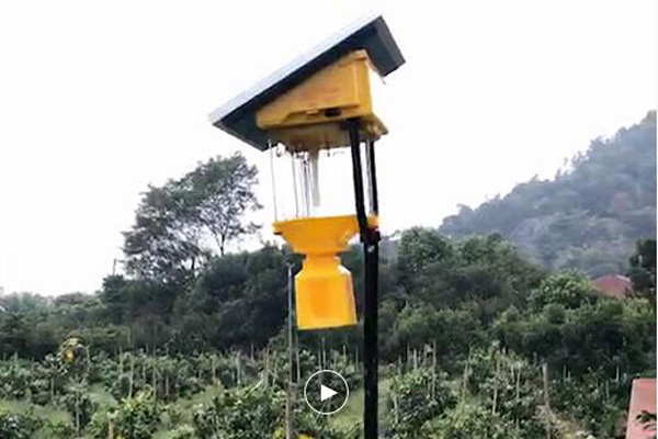 果园秋葵视频在线观看的价格是多少