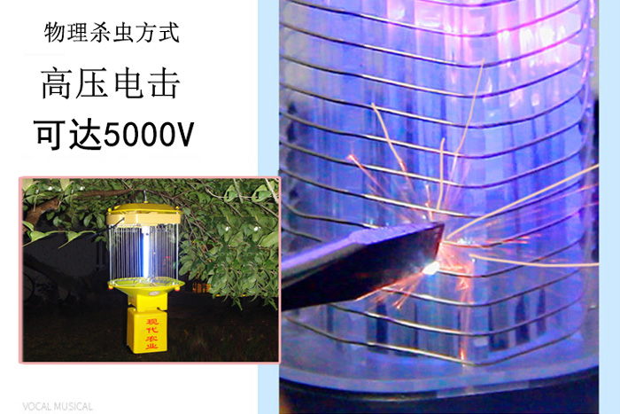 高压杀虫灯什么价格，让秋葵APP官方网站地址进入告诉你