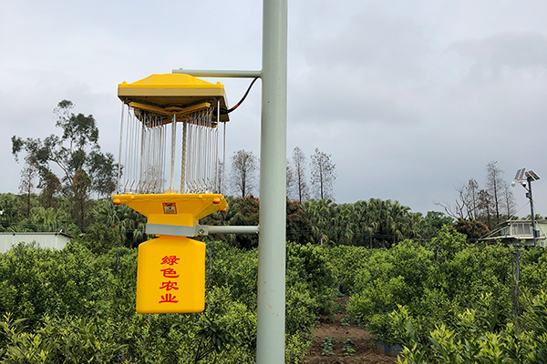 太阳能监控秋葵视频在线观看让茶园更安全