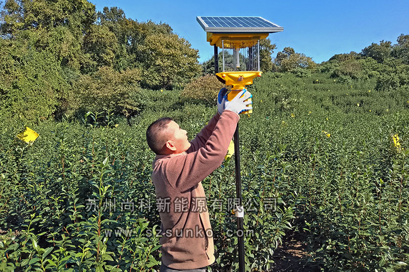 苏州碧螺春茶园秋葵视频在线观看安装纪实