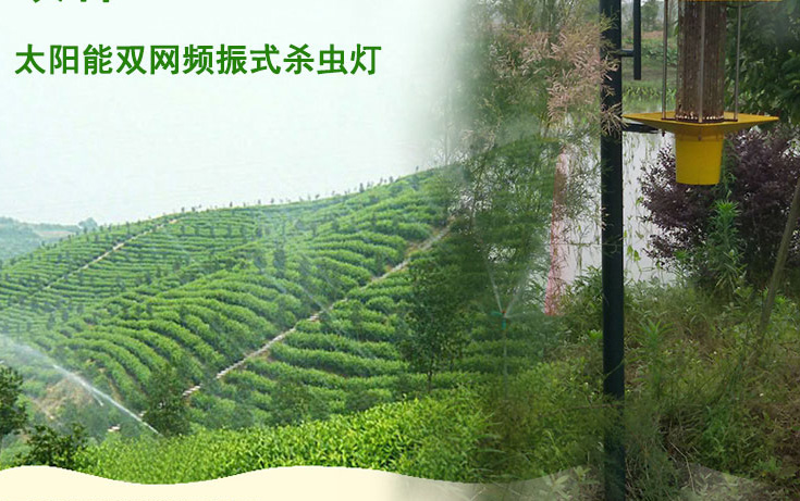高杆式秋葵视频在线观看应用于江西会昌县林业图片