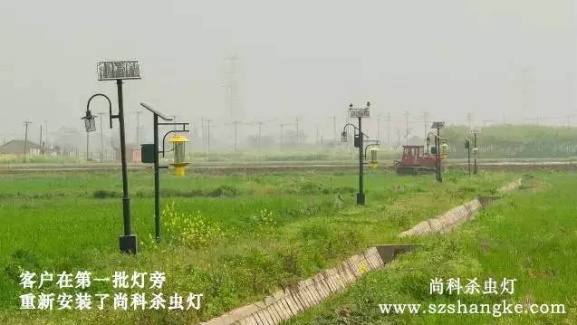 秋葵视频在线观看哪家好？客户用秋葵APP官方网站地址进入杀虫灯图