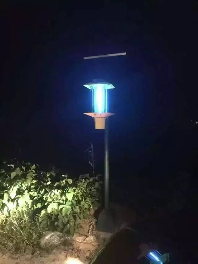 秋葵视频在线观看哪家好？秋葵APP官方网站地址进入杀虫灯夜间工作图片