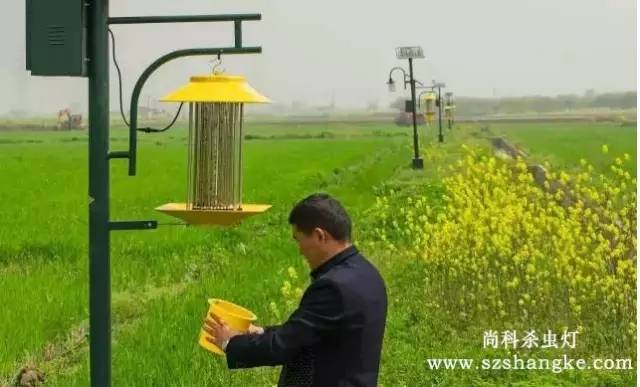 用户在检查秋葵APP官方网站地址进入秋葵视频在线观看集虫盒