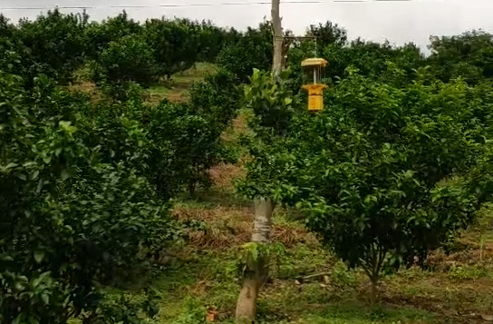 自动清洁型秋葵视频成人APPIOS最新PZ025使用效果
