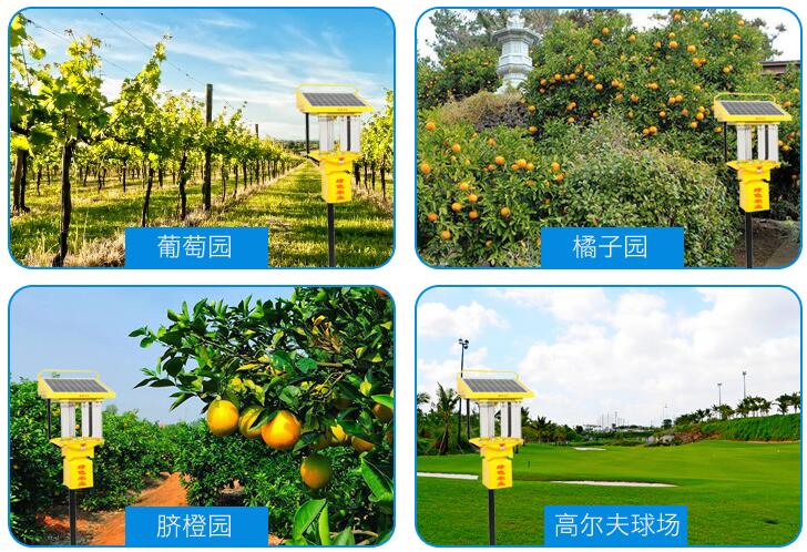 锂电池小型秋葵视频在线观看效果展示
