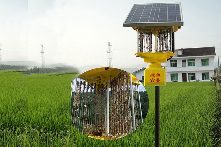 太阳能秋葵视频成人版APP下载安装效果实拍