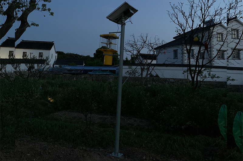 大型高杆秋葵视频在线观看安装现场图片