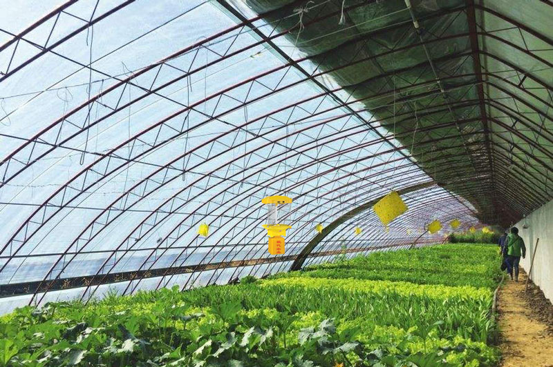 大棚秋葵视频成人APPIOS最新应用效果 大棚秋葵视频成人APPIOS最新应用效果