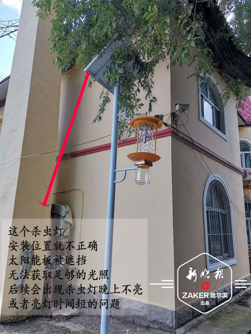 哈尔滨园林公园安装秋葵视频在线观看