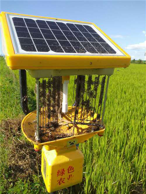 黑龙江延寿水稻种植基地使用秋葵视频在线观看案例