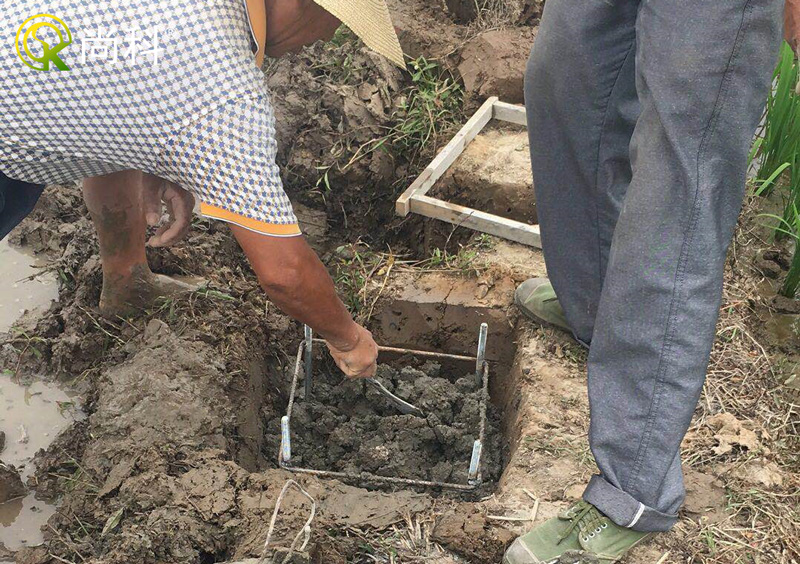 立杆秋葵视频在线观看地基地笼安装-放置地笼