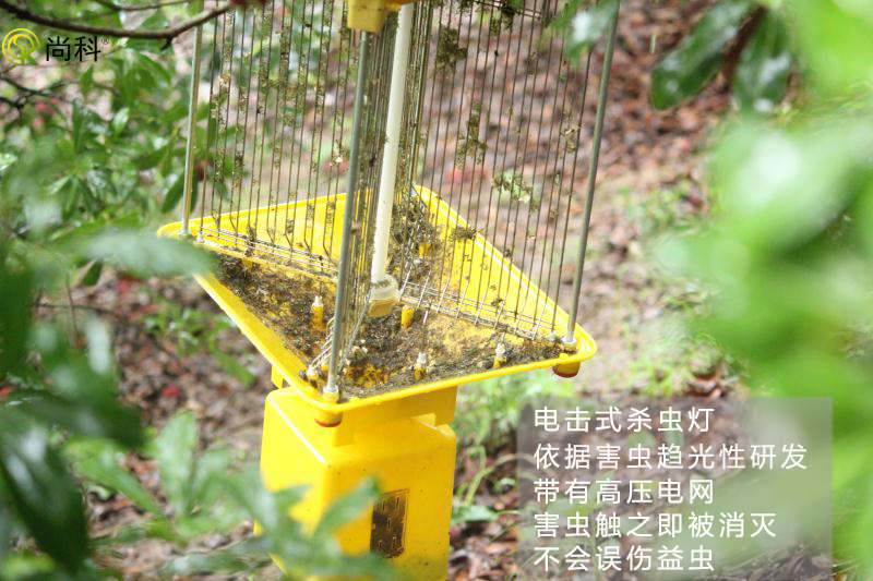 果园杀虫灯哪种好？电击式果园杀虫灯效果好