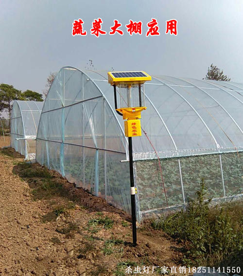 山东太阳能农田杀虫灯实拍，田间杀虫灯图片