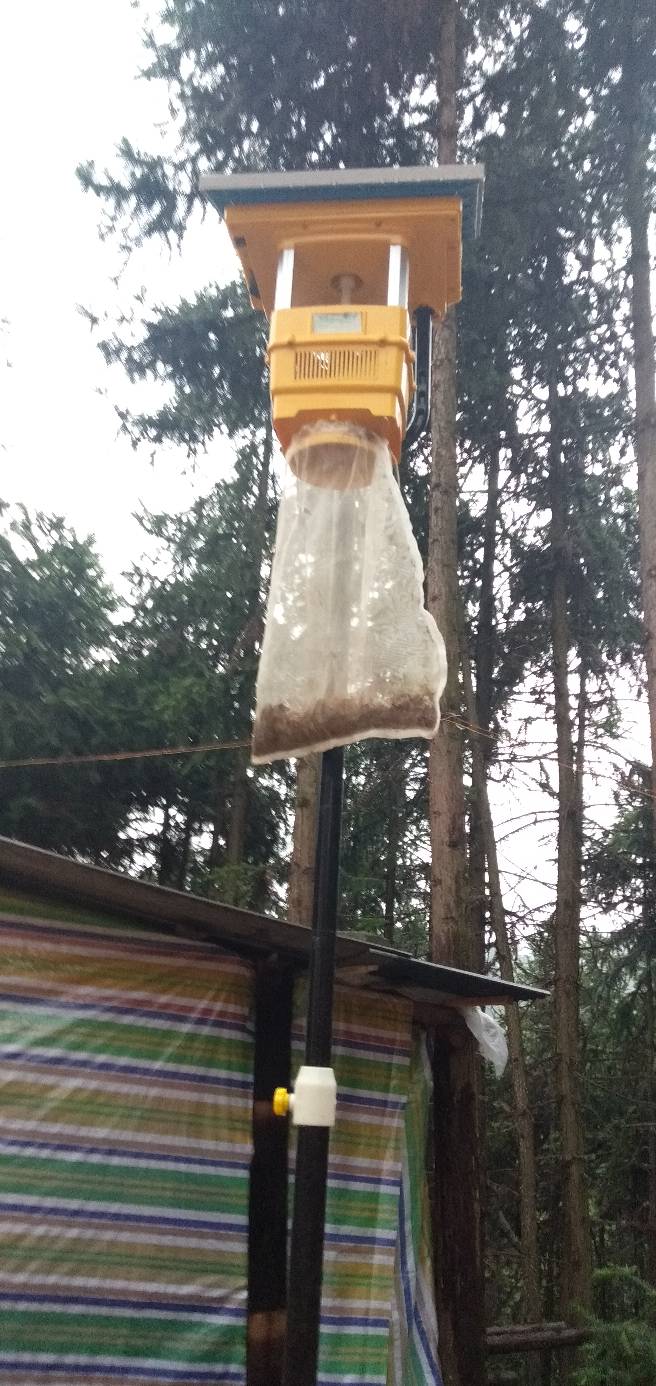葡萄果园使用风吸式秋葵视频在线观看