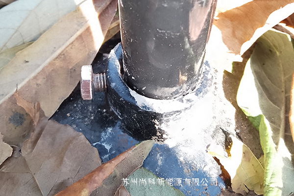 枇杷果园秋葵视频在线观看安装