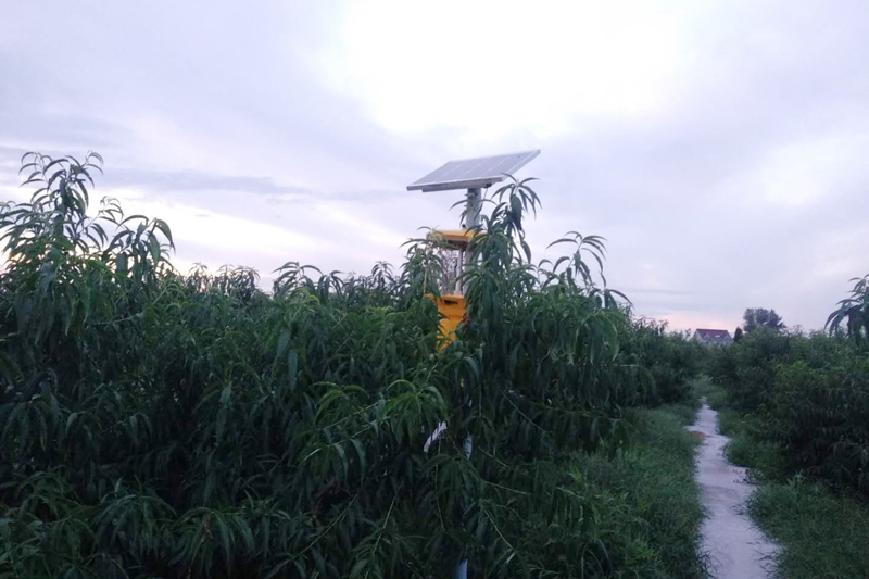 黑光灯多少钱？确定好黑光灯种类，不要买错了